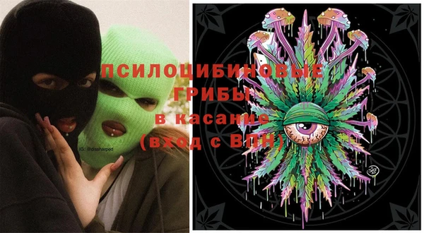 PSILOCYBIN Арсеньев