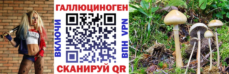 Галлюциногенные грибы GOLDEN TEACHER Ростов
